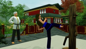 TS3_WorldAdventures_ChinaMartialArtsTraining